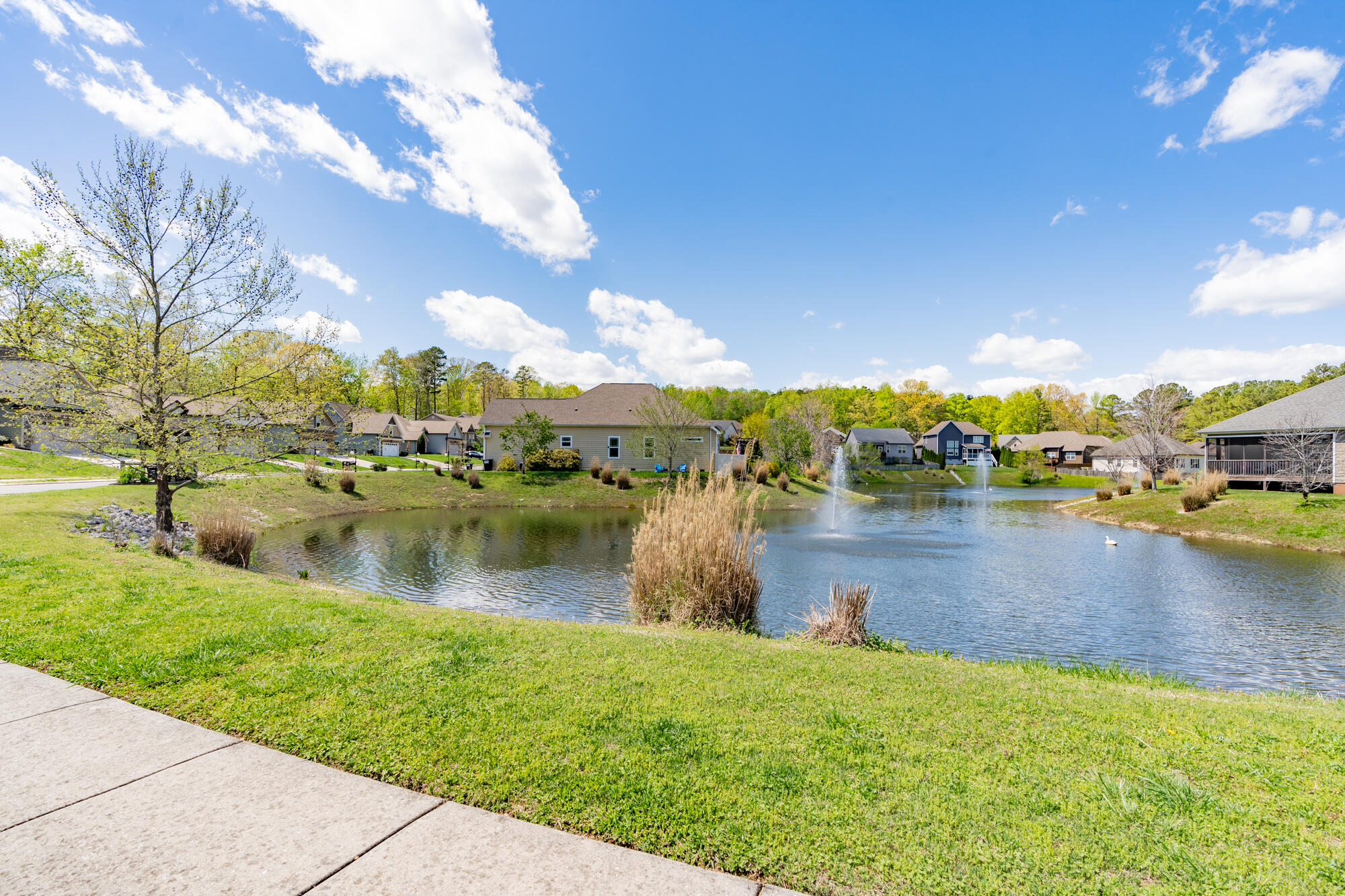 8630 Maple Valley Drive Chattanooga, TN 37421 - Photo 45 of 61 8630maplevalley-58