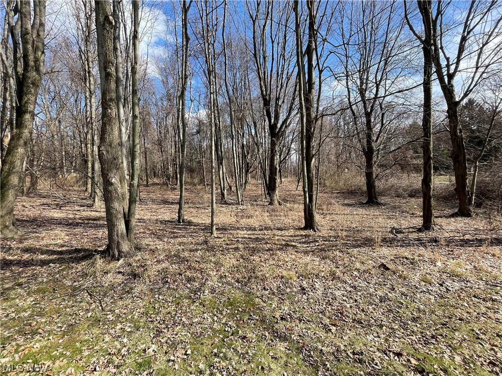 5749 Rhodes Road Kent, OH 44240 - Photo 4 of 9