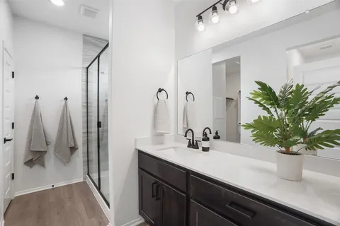 a bathroom with a sink a mirror and a potted plant