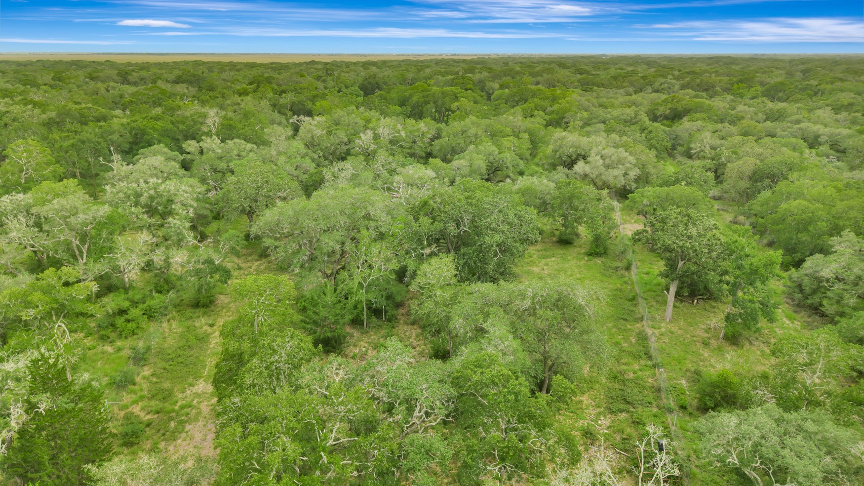 4600 Fm 1862 Road Palacios, TX 77465 - Photo 17 of 43