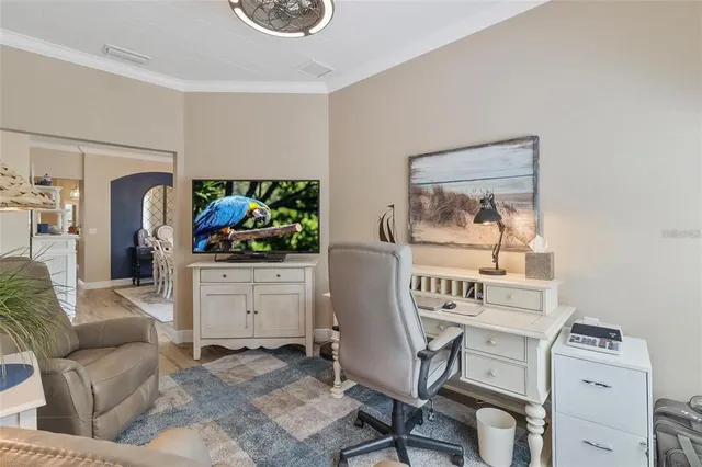 a living room with furniture and a potted plant