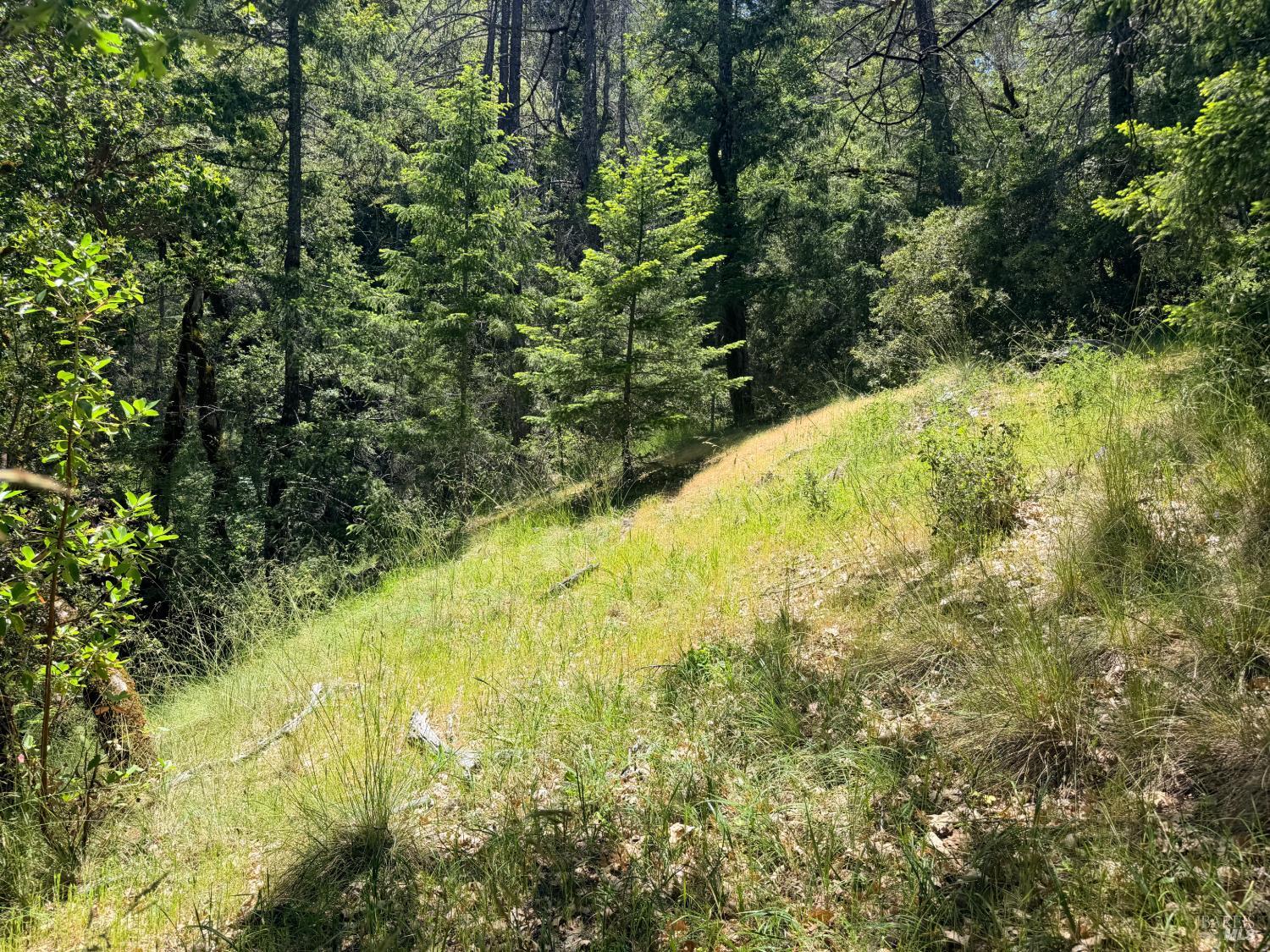 0 Registered Guest Road Laytonville, CA 95454 - Photo 16 of 18