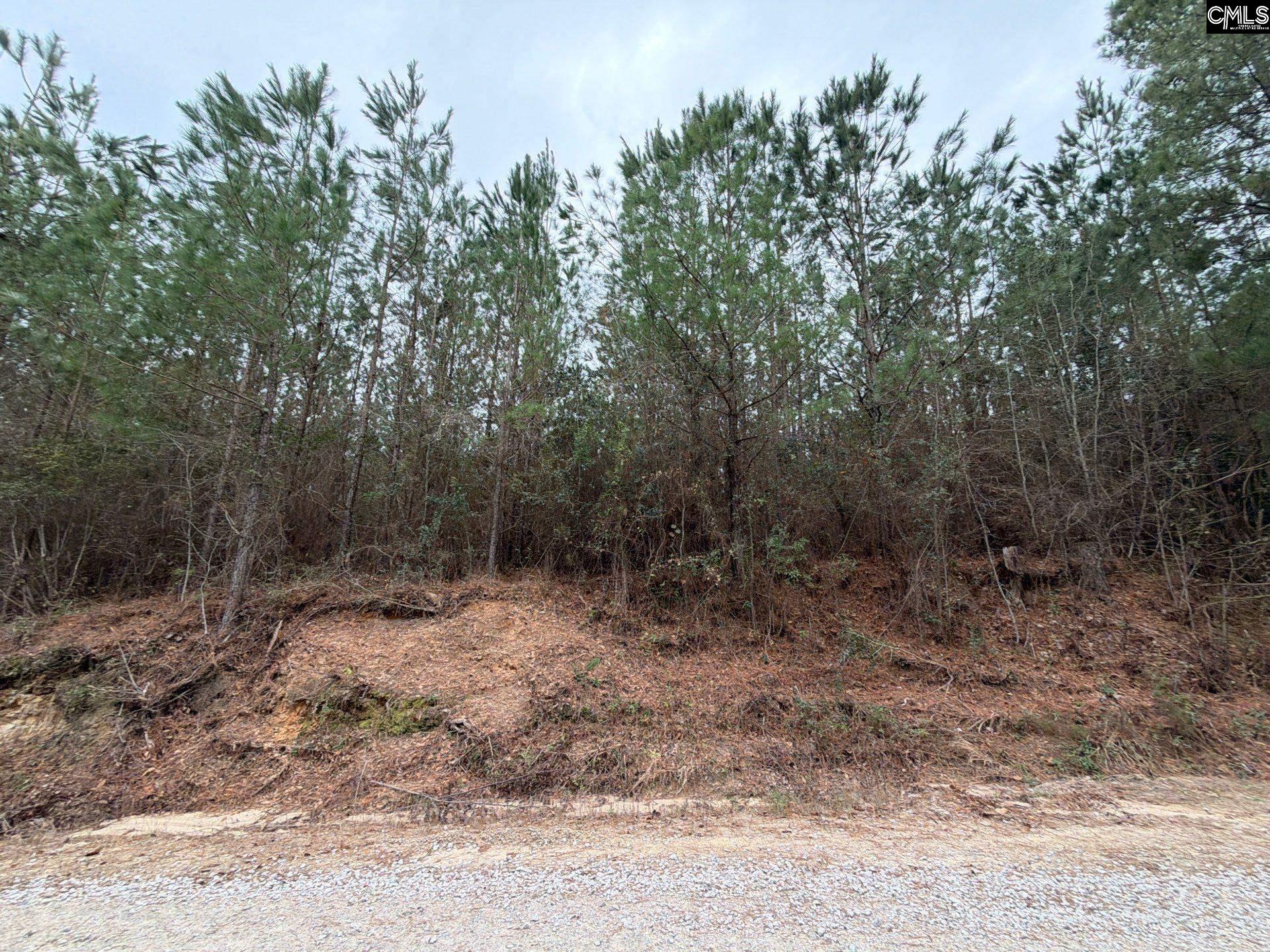 2 Jc Barefoot Road, Unit BFF II 2 Patrick, SC 29584 - Photo 5 of 13