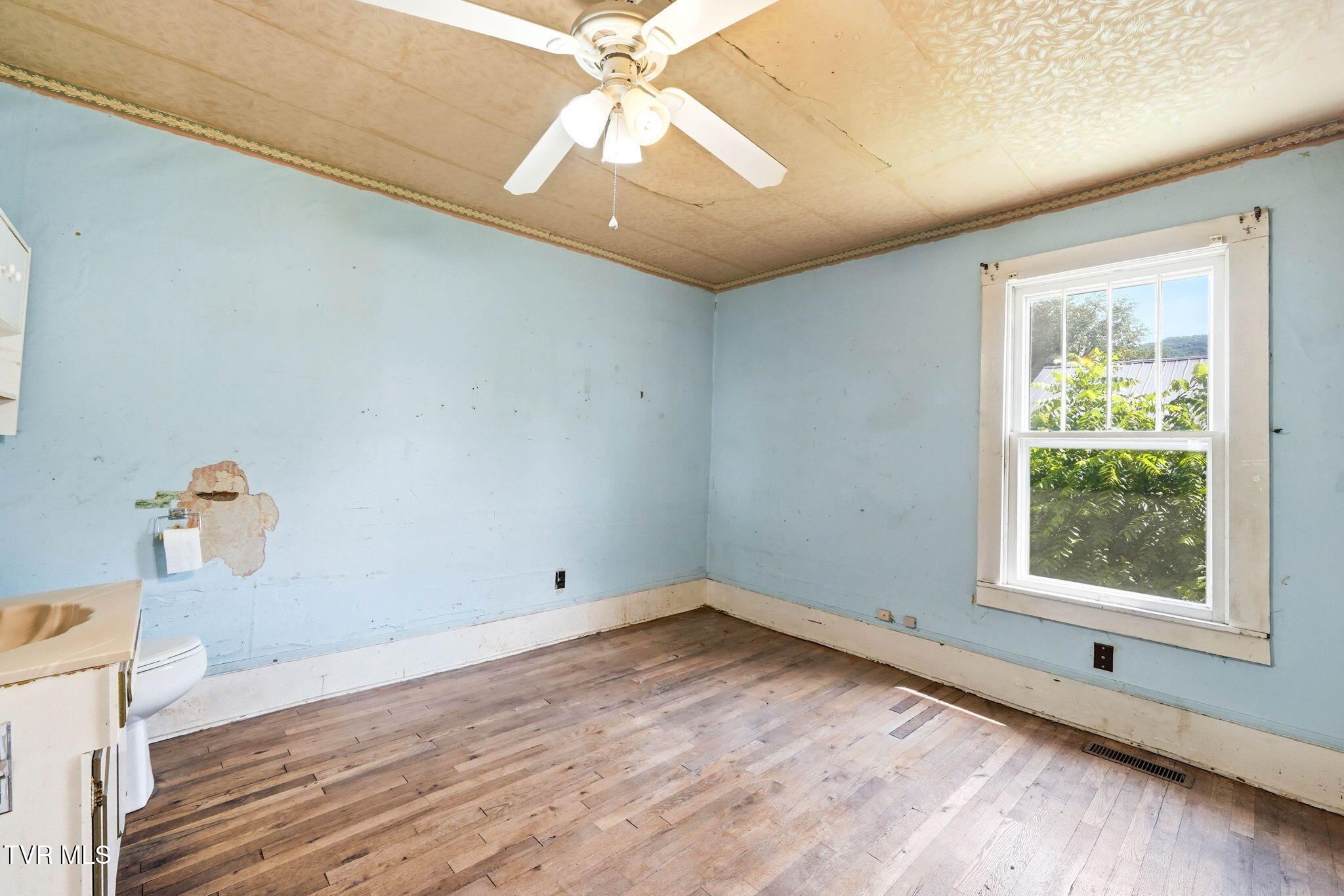 220 North Reece Avenue Mountain City, TN 37683 - Photo 13 of 44 main house br2