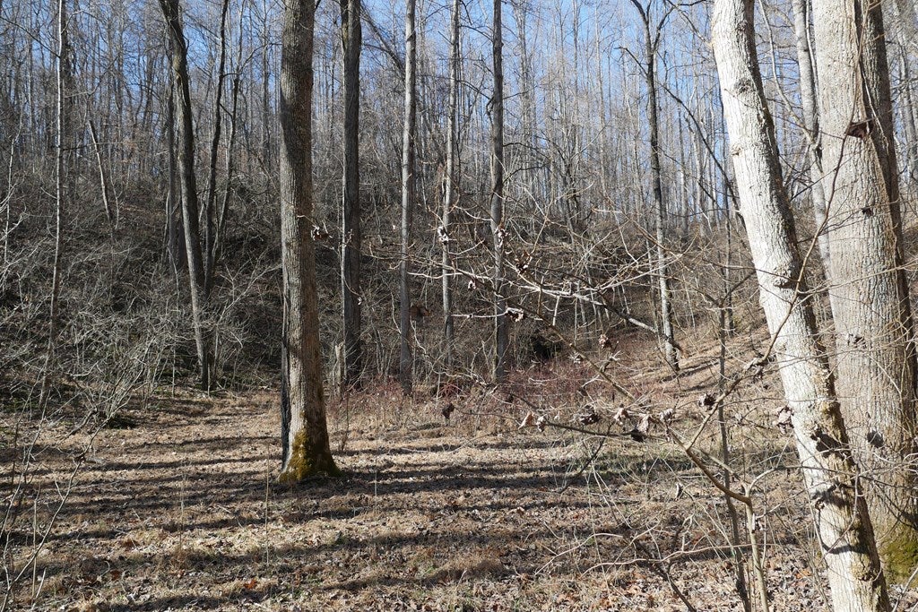 Tbd Tbd Dean Road Rose Hill, VA 24281 - Photo 10 of 97 Gallery Image 10