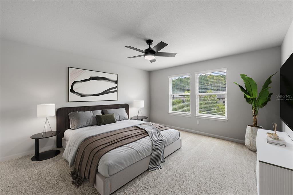 4366 Cloud Hopper Way Lutz, FL 33559 - Photo 11 of 28