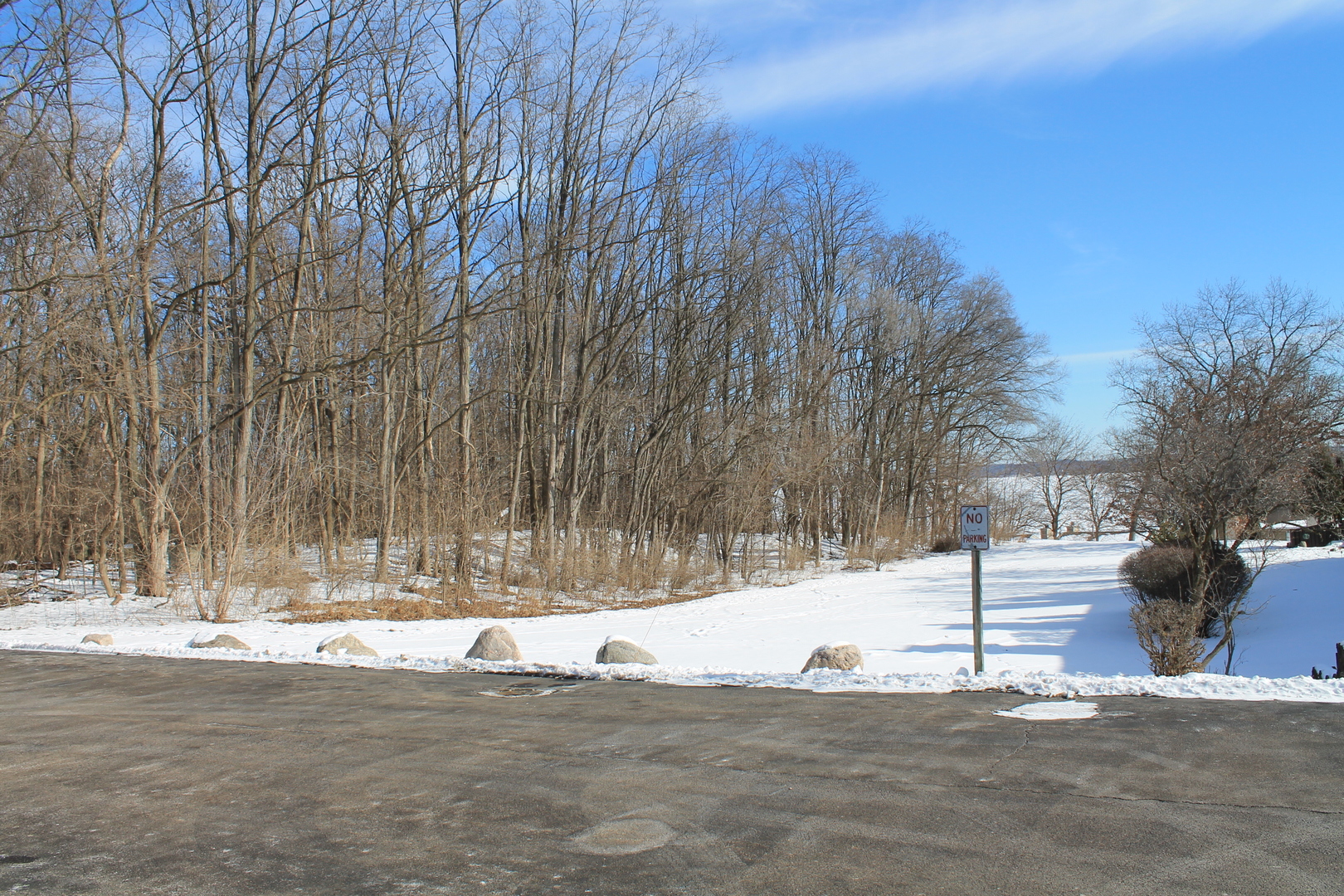 69 White Oaks Road, Unit 69 Fox Lake, IL 60020 - Photo 2 of 18 a view of a house with snow on the road