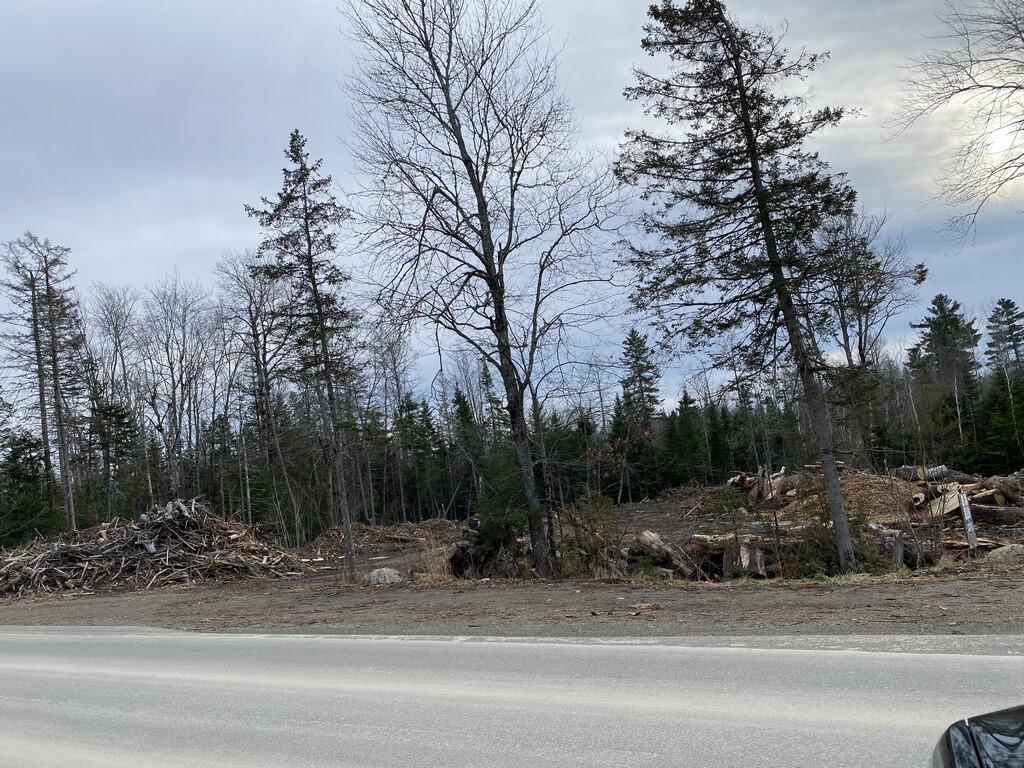Lot 6-56 Goshen Road Winterport, ME 04496 - Photo 3 of 5 958FFE67-89C4-46EA-9B70-B3652DBA7608 (Co