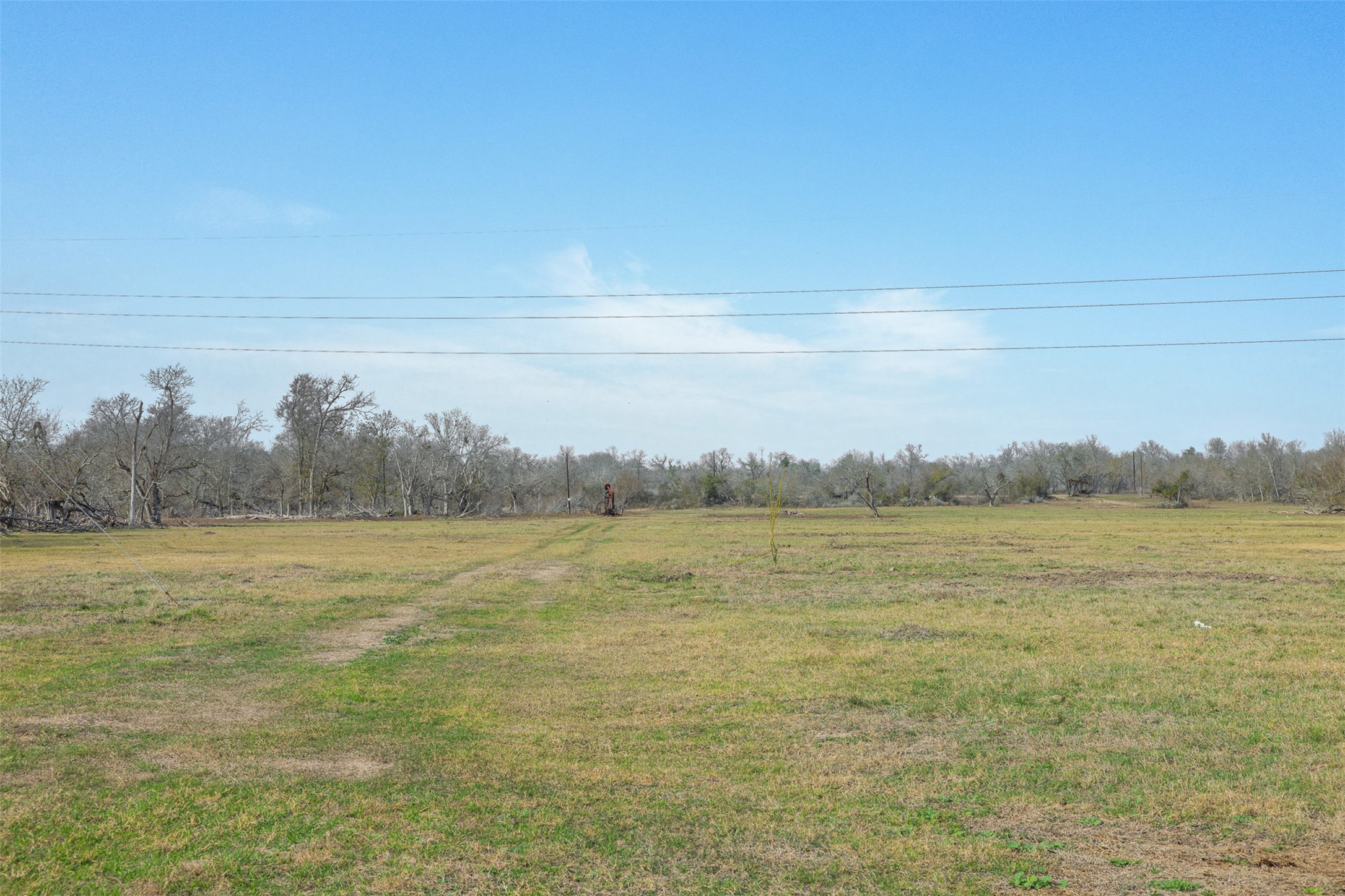 1144 Treetop Lane Luling, TX 78648 - Photo 8 of 31 View of green lawn with a view of rural / pastoral area
