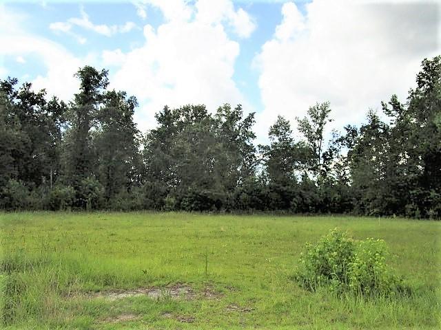 121 Chapelcross Road Vance, SC 29163 - Photo 4 of 16 62 Acres Across the Street