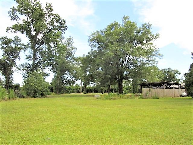 121 Chapelcross Road Vance, SC 29163 - Photo 8 of 16 Extra Storage Sheds