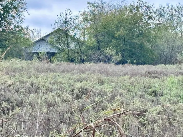 a view of a dry yard