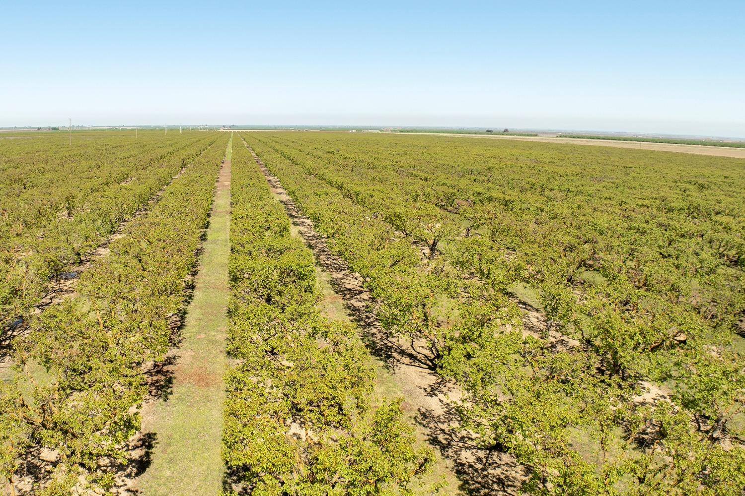 0 West Hamilton Road Westley, CA 95387 - Photo 6 of 22