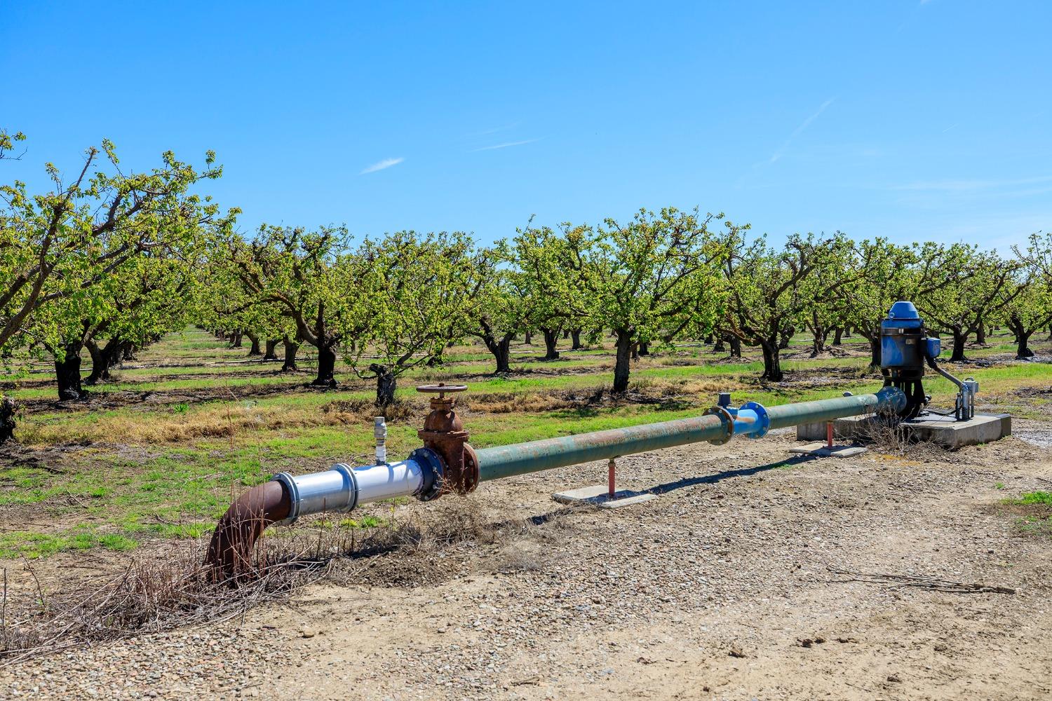 0 West Hamilton Road Westley, CA 95387 - Photo 7 of 22 a park view with a tree