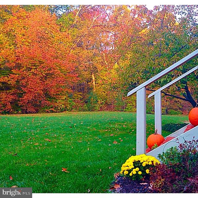 155 North Hunter Forge Road Newark, DE 19713 - Photo 35 of 41 Back yard