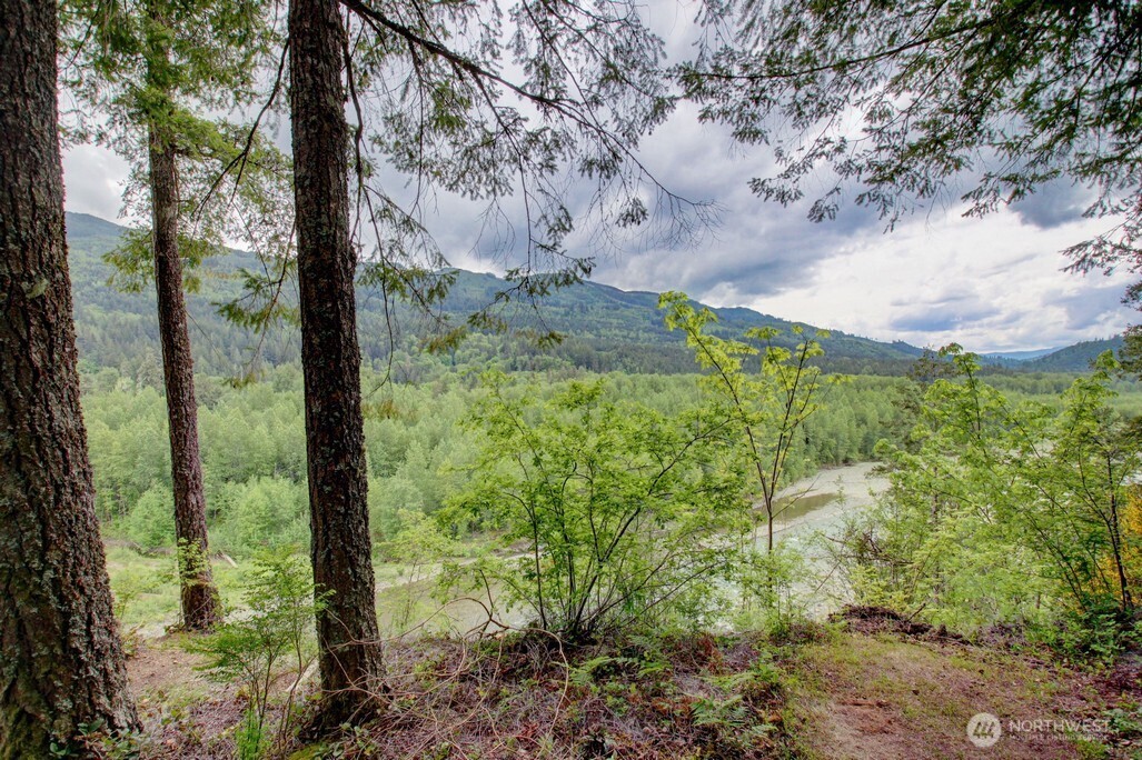 28-6 Riverside Drive Deming, WA 98244 - Photo 4 of 40 Gallery Image 4