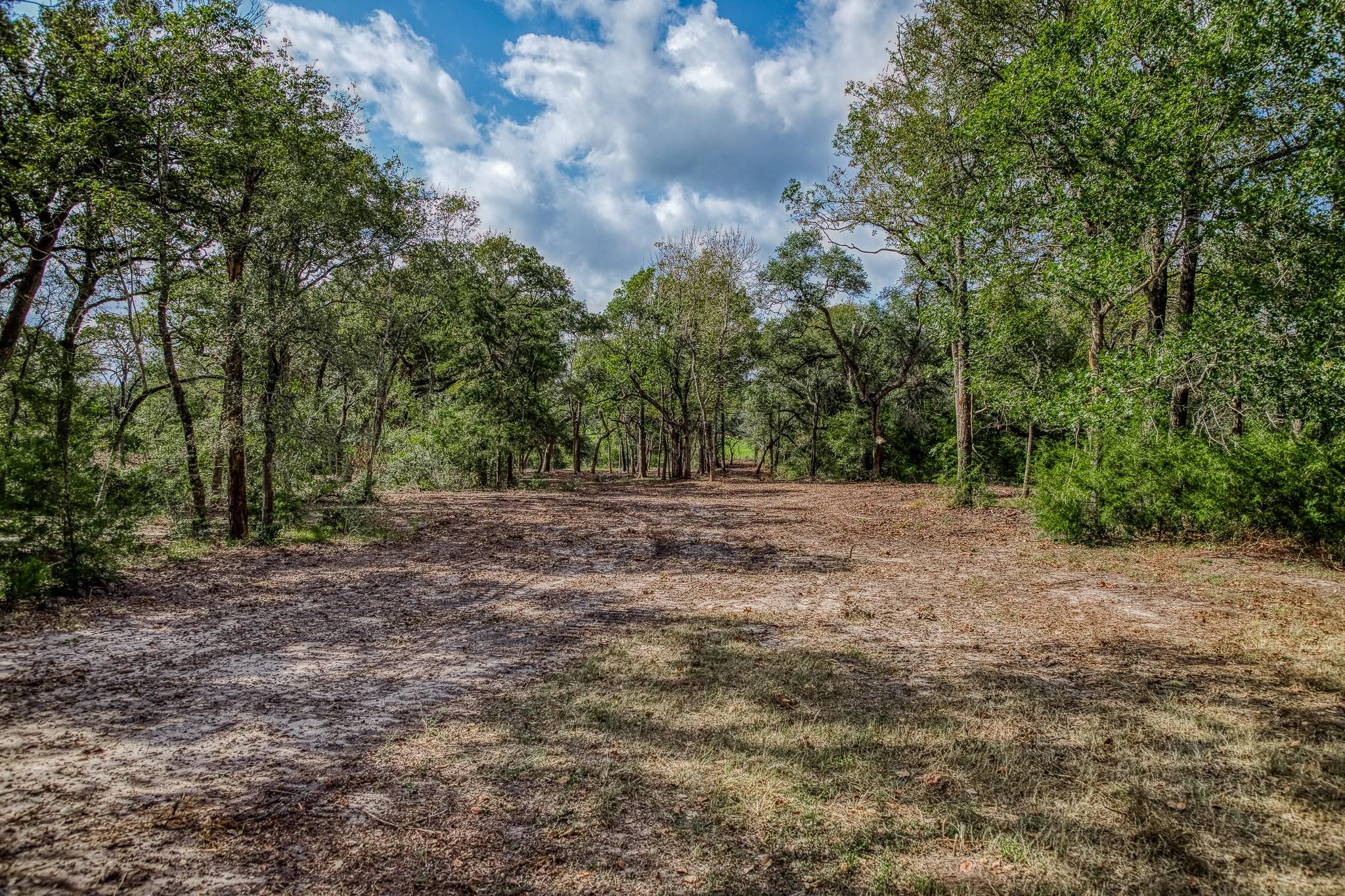 Tbd Sun Oil Road Brenham, TX 77833 - Photo 4 of 37 a view of backyard with green space