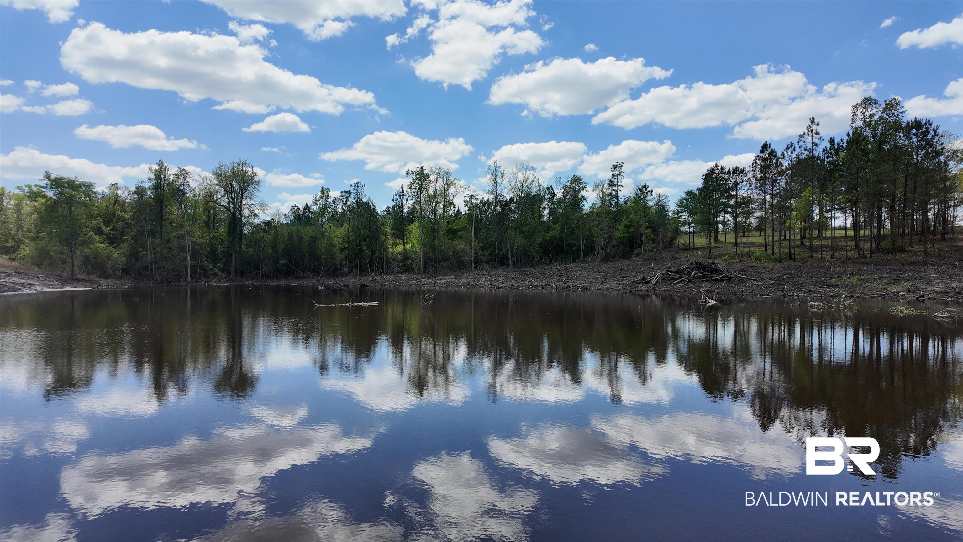 0 Powell Road Eight Mile, AL 36613 - Photo 49 of 57