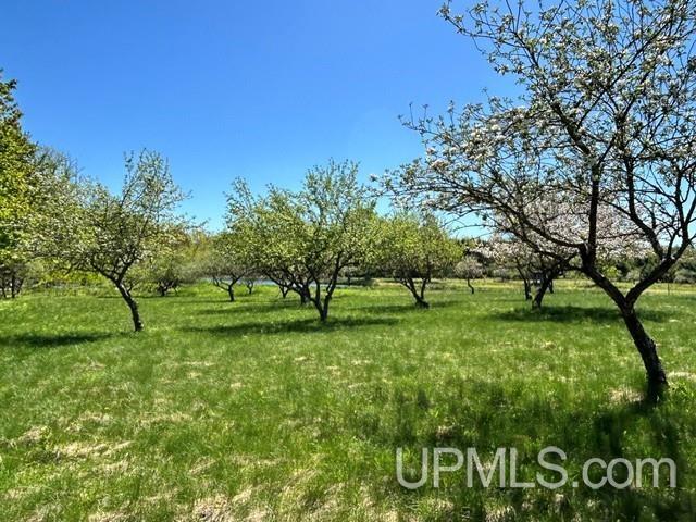 Tbd Tbd Bellaire Road Baraga, MI 49908 - Photo 39 of 49
