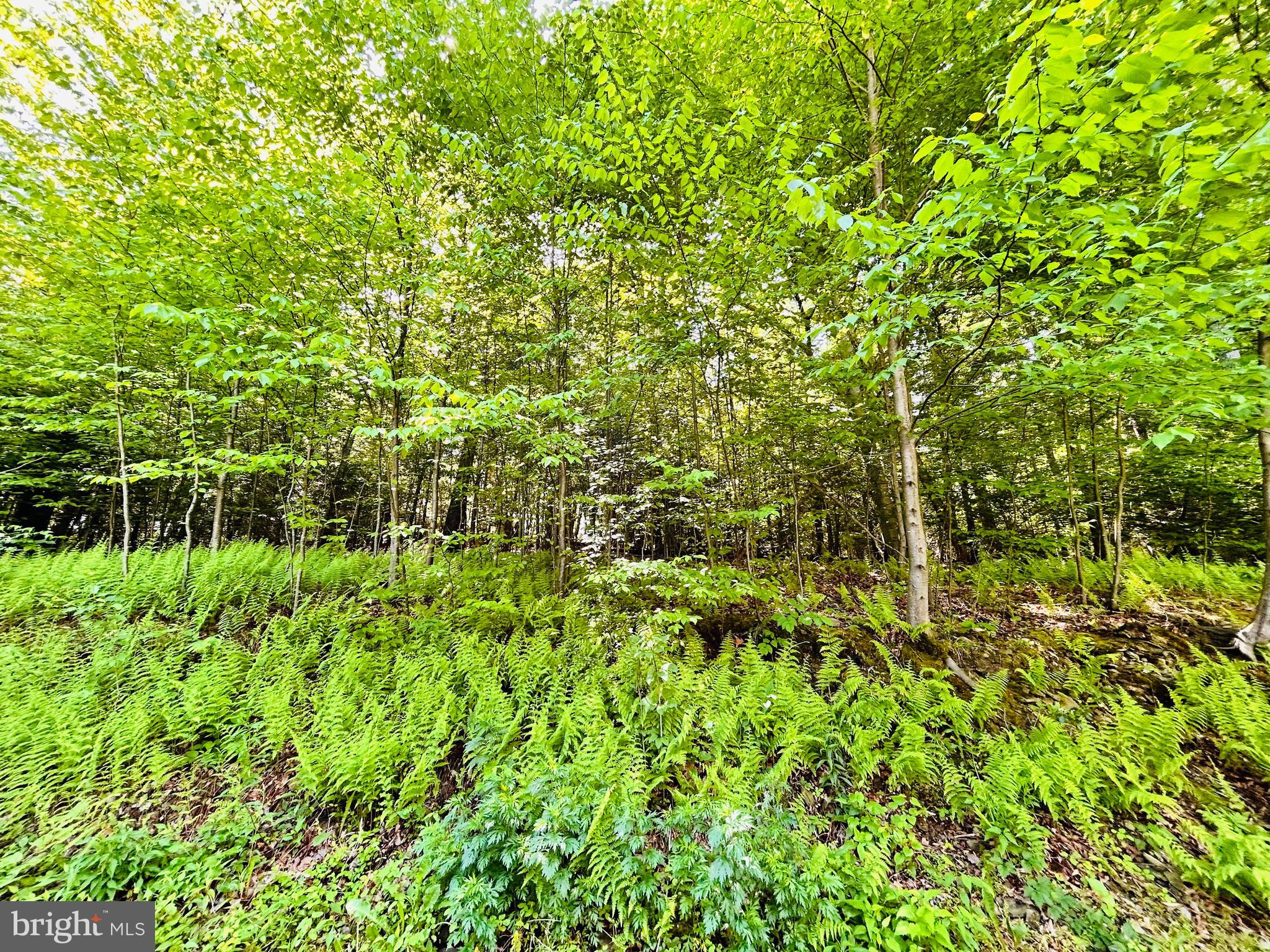 396 Whiskey Road McClure, PA 17841 - Photo 3 of 35