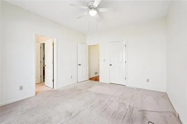 a view of road with large trees