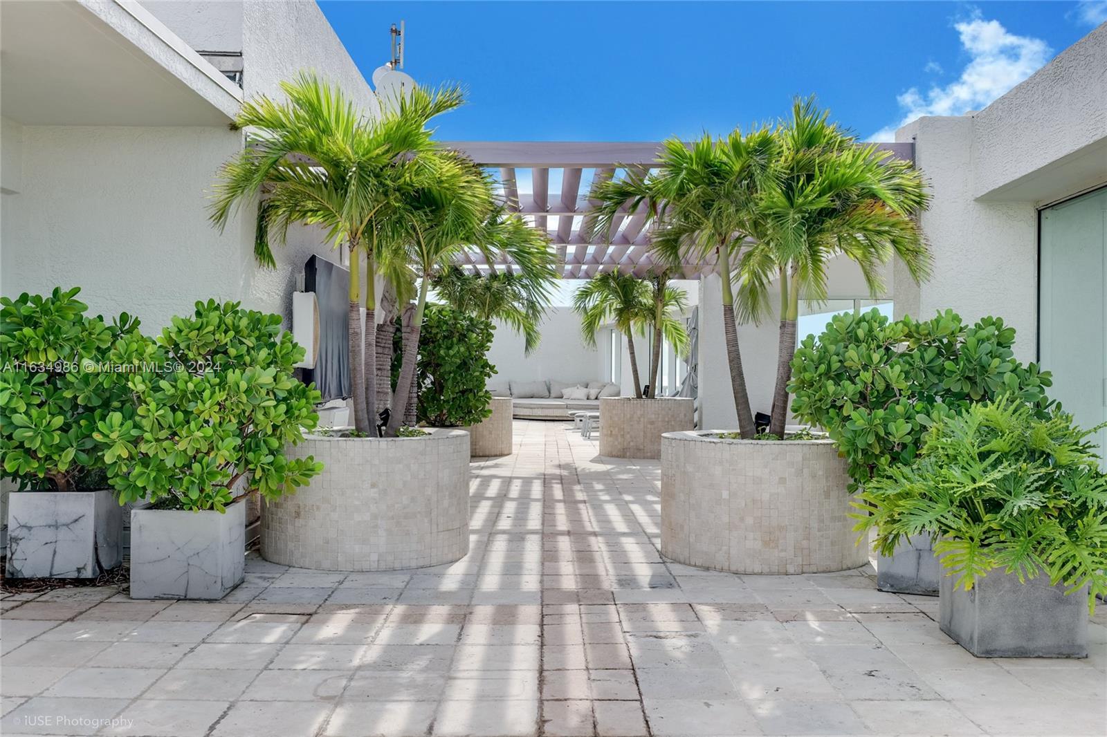 450 Alton Road, Unit PH1 Miami Beach, FL 33139 - Photo 35 of 50 a potted plant sitting in front of a house