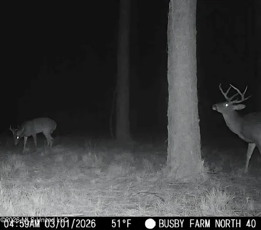 $1,500,000 | 51 U Highway South, Bogue Chitto, MS 39629