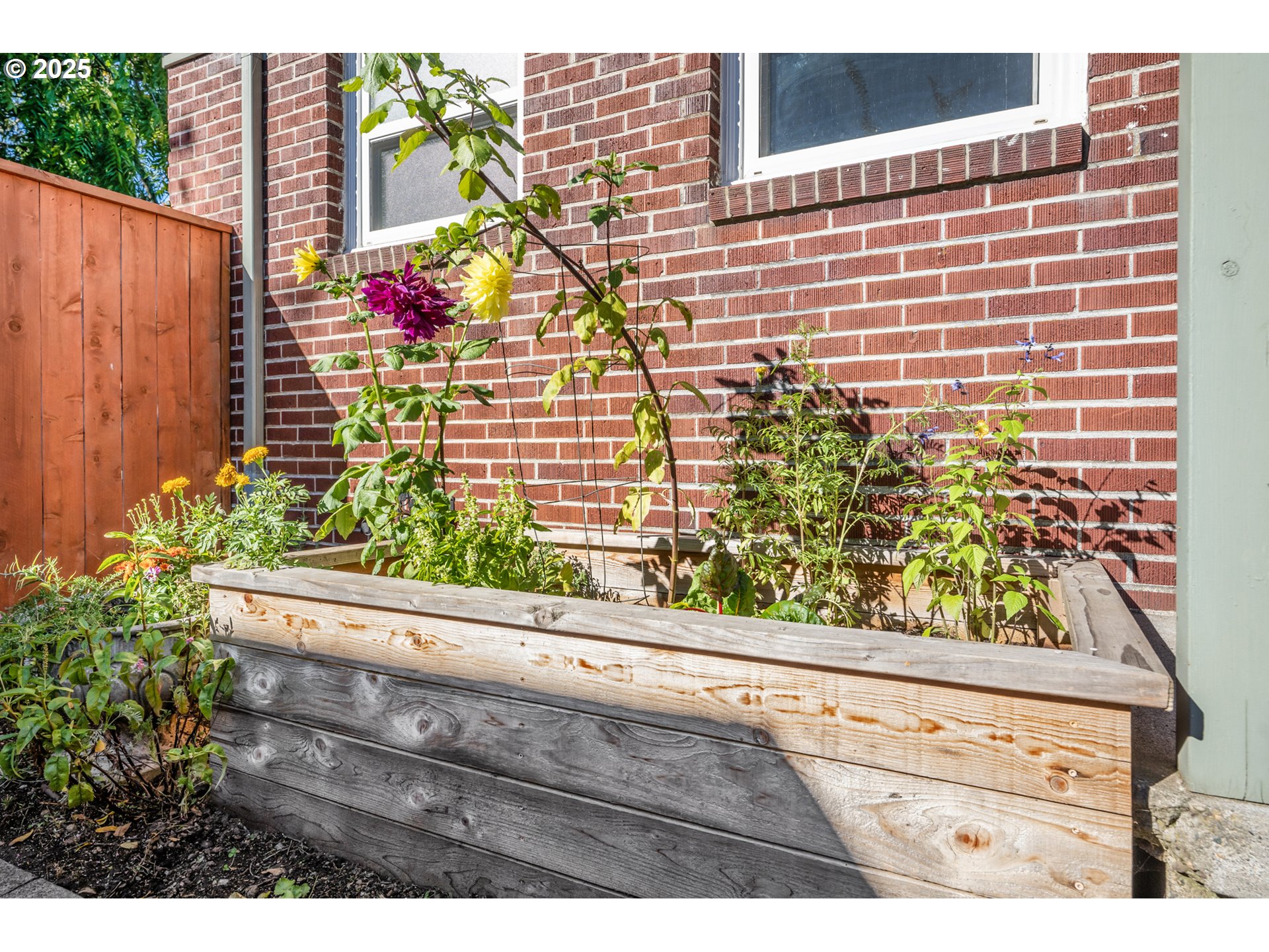 5405 Northeast 10th Avenue, Unit 3 Portland, OR 97211 - Photo 22 of 48 Garden