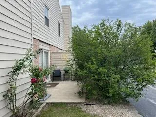 a potted plant sitting in front of a house