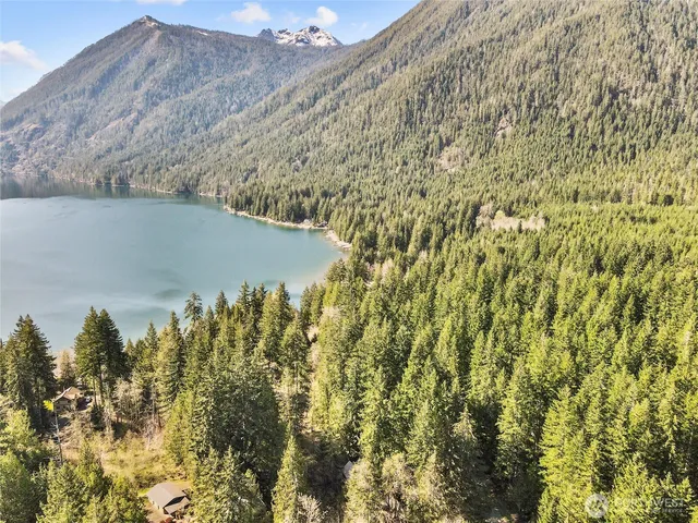a view of a yard of a building