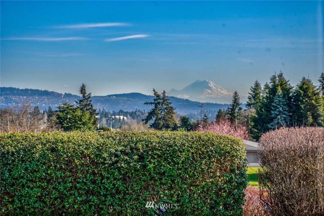 9630 Hilltop Road Bellevue, WA 98004 - Photo 30 of 40 Gallery Image 30