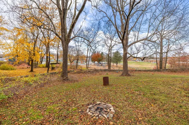 a view of yard covered with trees