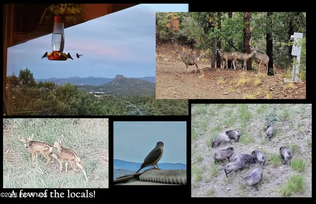 $1,890,000 | 1515 North Happy Valley Road, Prescott, AZ 86305