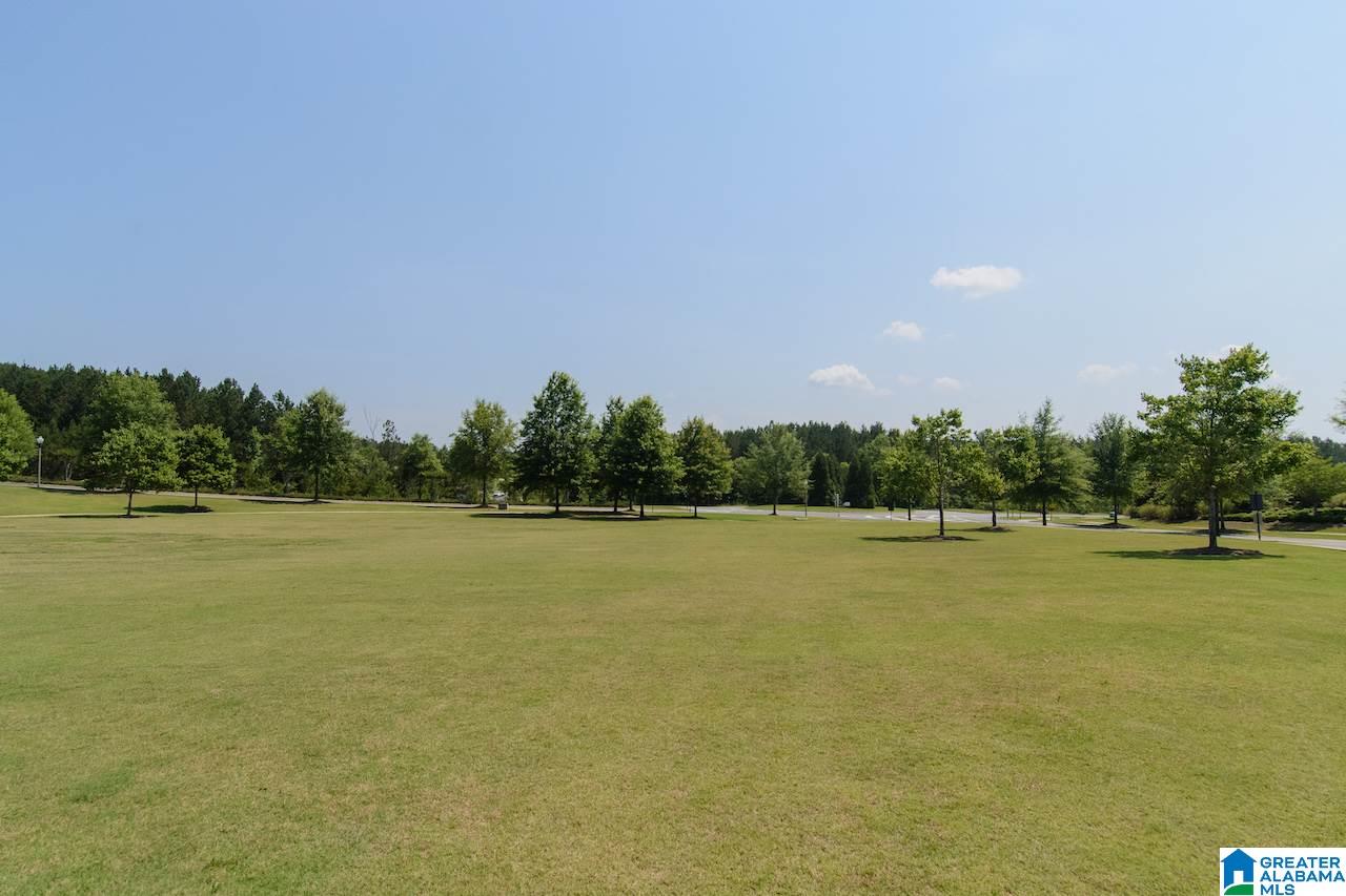 3017 Chelsea Park Ridge Chelsea, AL 35043 - Photo 49 of 50