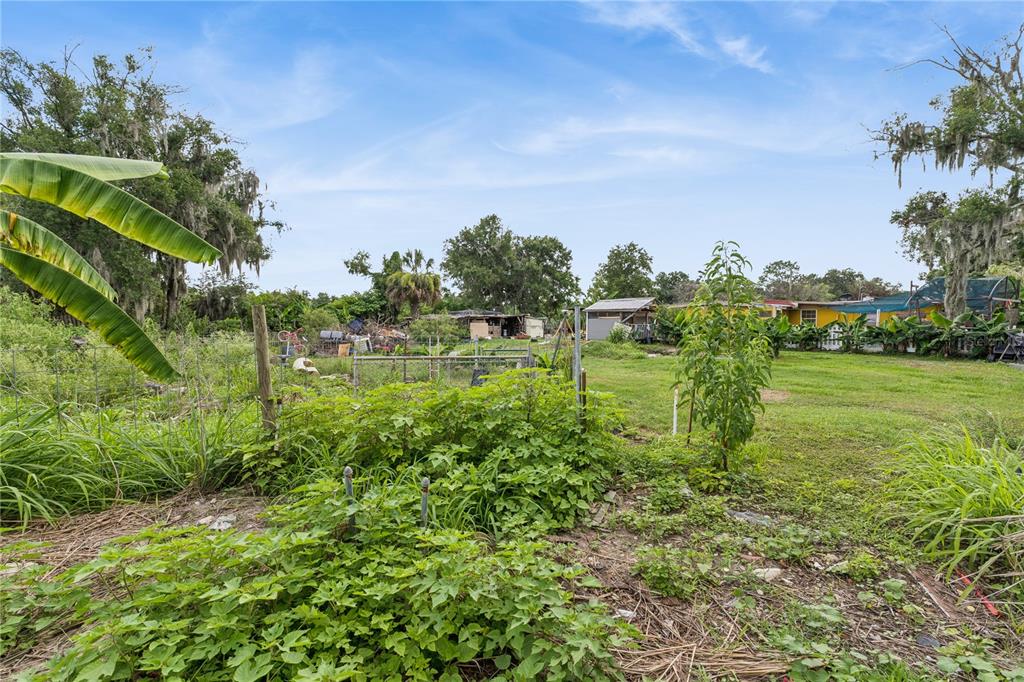 825 Cook Road Mulberry, FL 33860 - Photo 24 of 25
