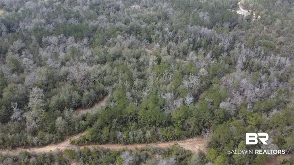 0 Chunchula Georgetown Road Chunchula, AL 36521 - Photo 15 of 15 Bird's eye view featuring a forest view