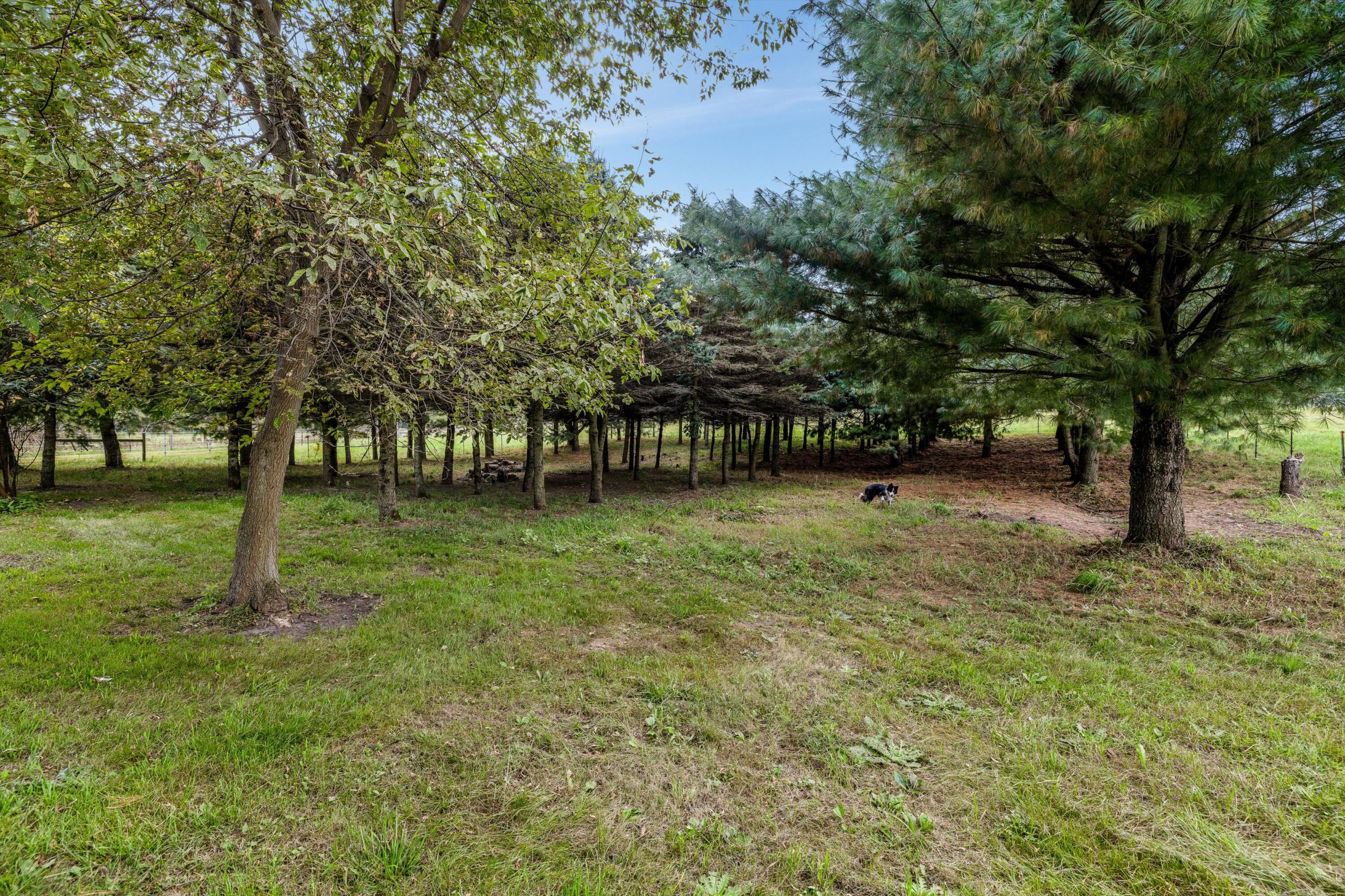 7753 Hashley Road Manchester, MI 48158 - Photo 101 of 105 160-5X7A3463