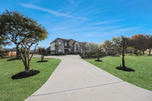 a view of yard with tree s