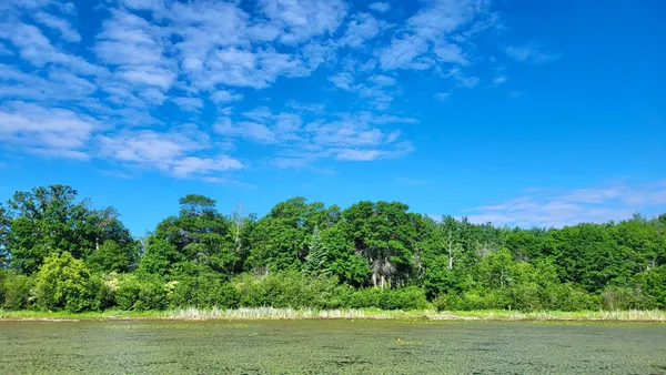 $154,900 | Tbd Tbd Brush Lake Ln Park Rapids, Park Rapids, MN 56470