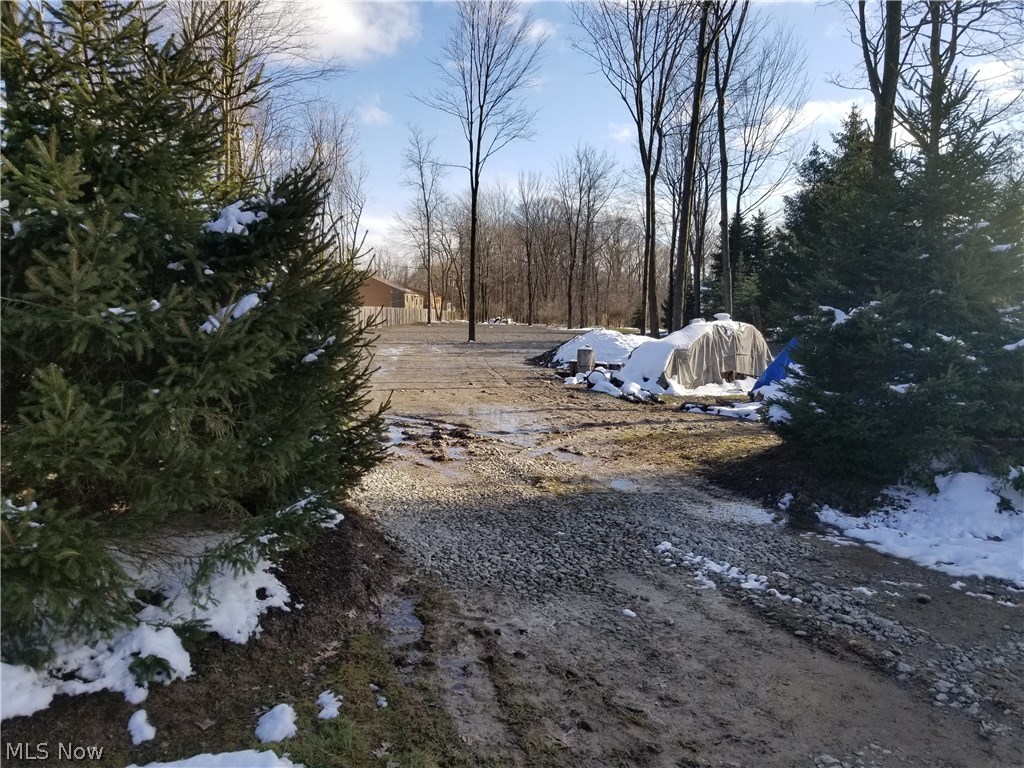 West Wallings Road Broadview Heights, OH 44147 - Photo 7 of 8 Gallery Image 7