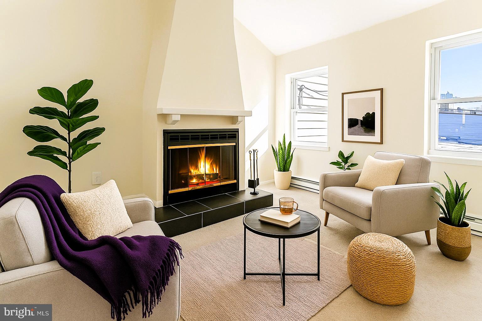 2725 Hudson Street Baltimore, MD 21224 - Photo 13 of 66 a living room with furniture potted plant and a fireplace