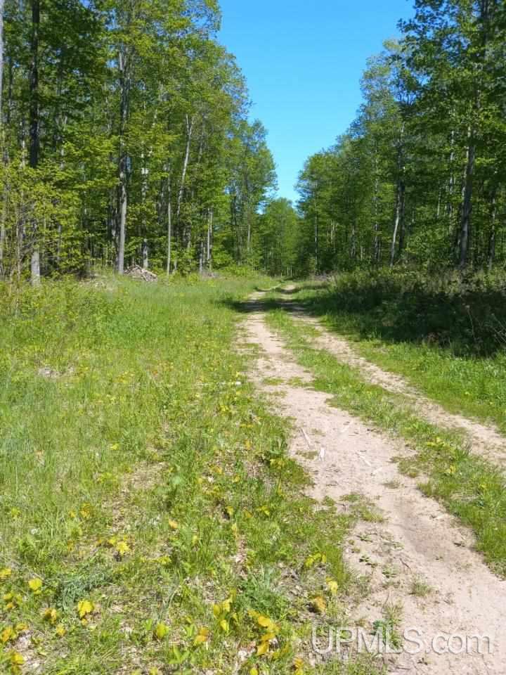 Tbd Tbd Aaa Road Big Bay, MI 49808 - Photo 2 of 21