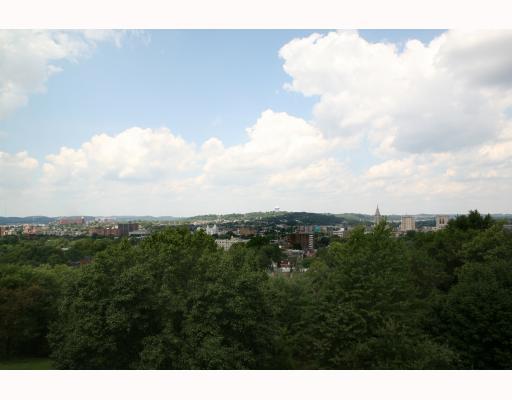 77 East Woodland Road Pittsburgh, PA 15232 - Photo 11 of 14 View.