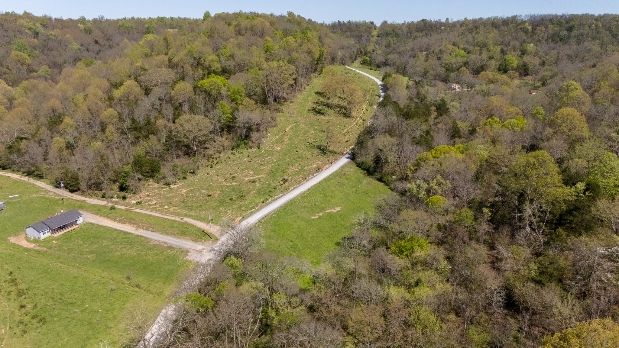 0 Spankem Road Fayetteville, TN 37334 - Photo 11 of 12 a view of a yard with an trees