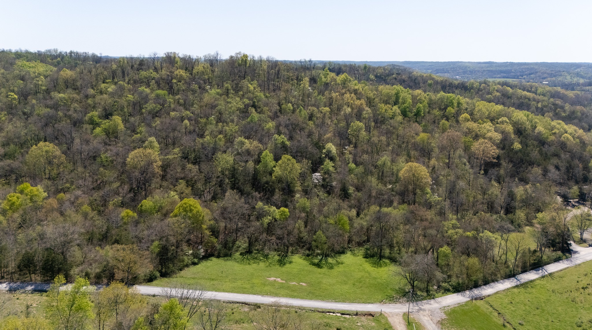 0 Spankem Road Fayetteville, TN 37334 - Photo 3 of 12 a view of a field with a mountain in the background