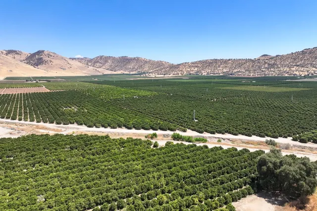 a view of a lake with a mountain in the background
