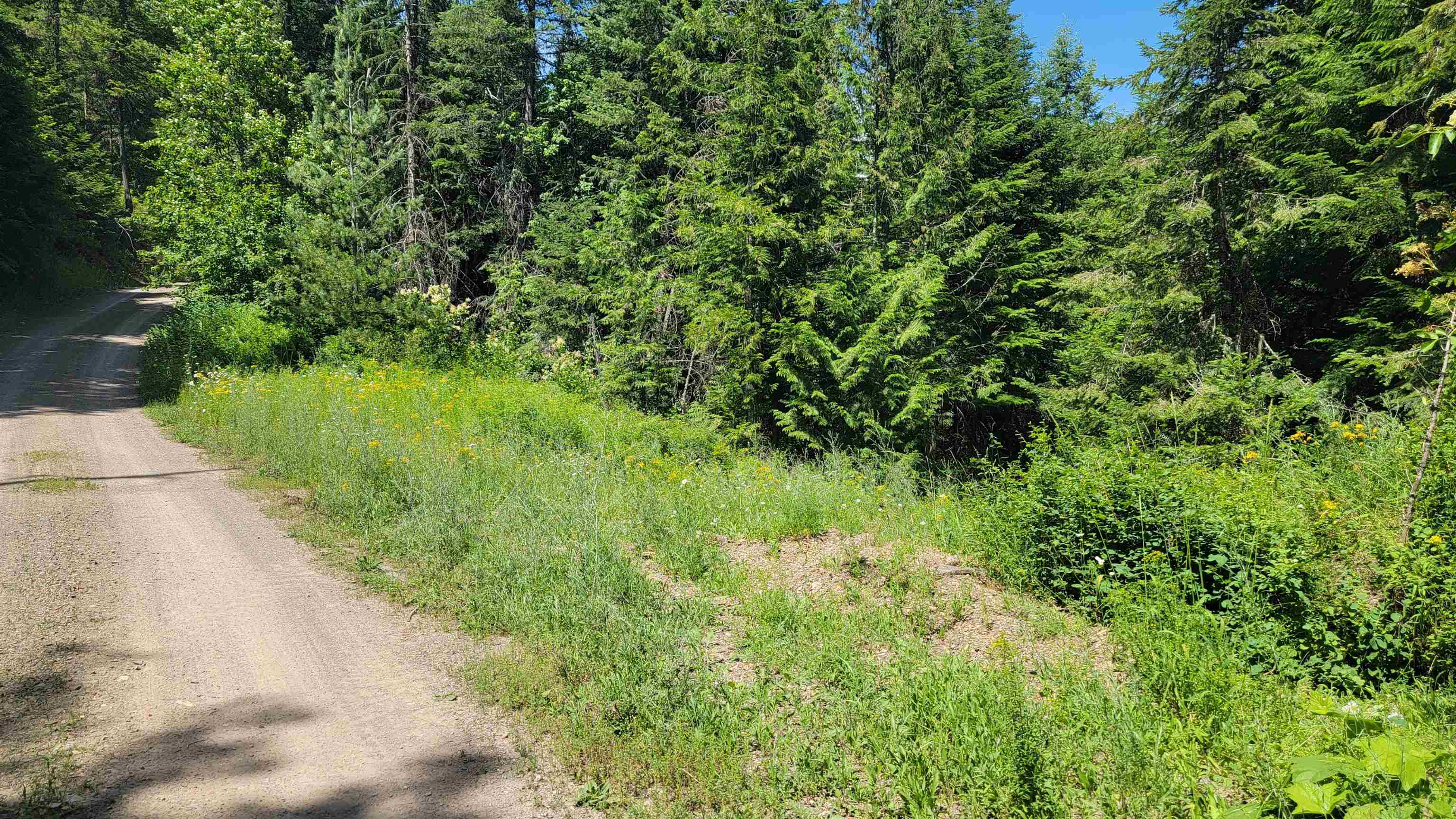 Nkn Bead Lake Road Newport, WA 99156 - Photo 24 of 44 Gallery Image 24