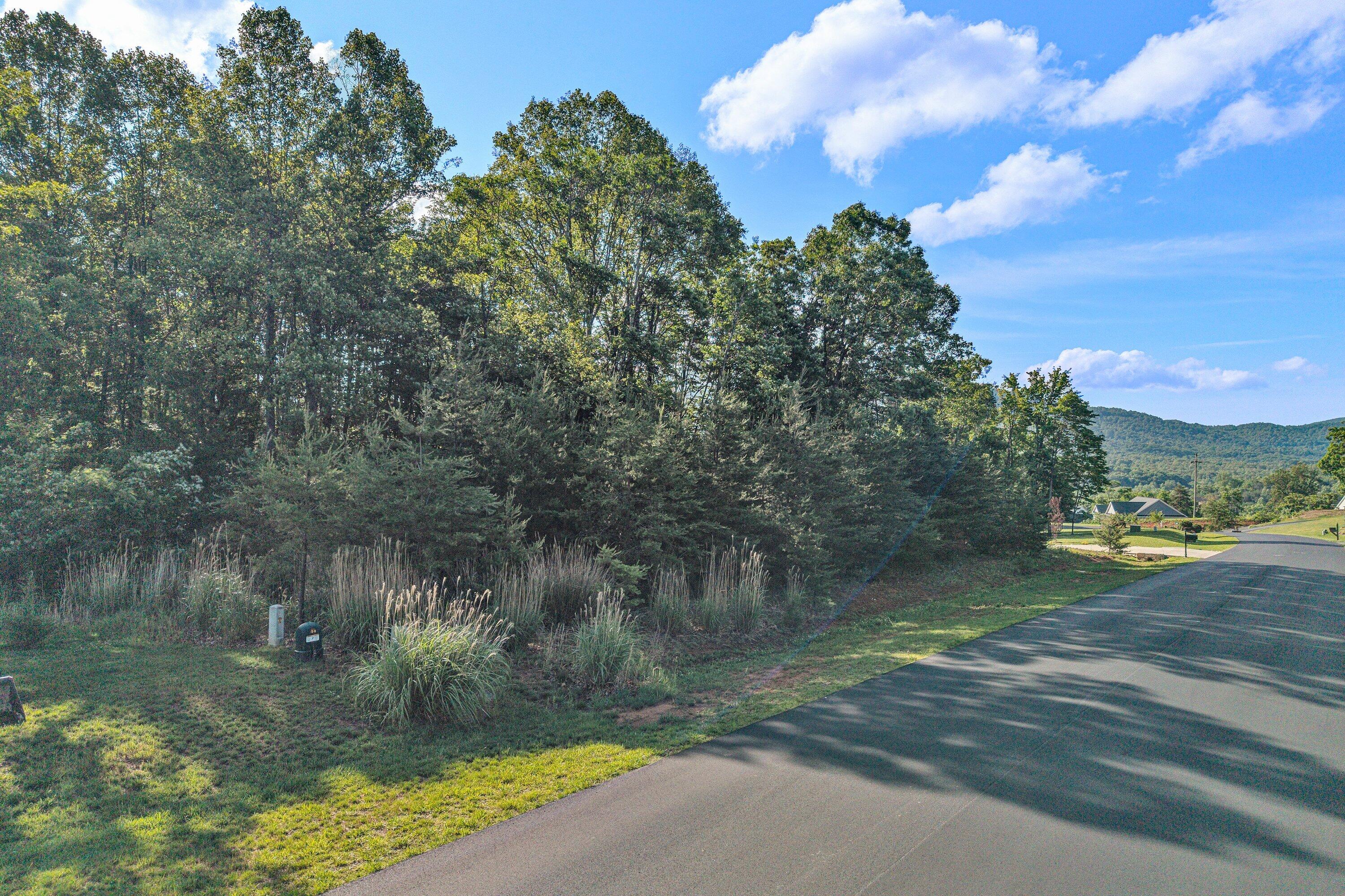 43 Thornblade Way Blue Ridge, VA 24064 - Photo 3 of 11 SGP-0001
