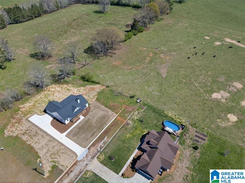51 Fast Lane Ranburne, AL 36273 - Photo 4 of 42