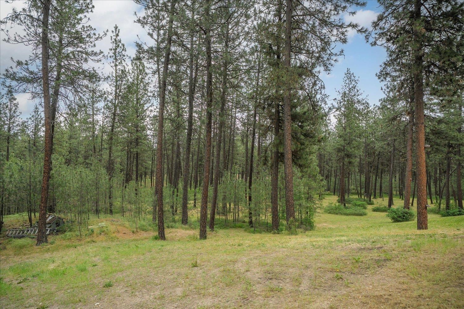 9114 South Thomas Mallen Road Cheney, WA 99004 - Photo 42 of 50